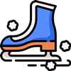 Skating Rink